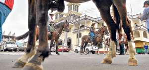 En d&iacute;as pasados, el Municipio de Santa Ana anunci&oacute; de manera oficial que la ciudad es la sede de la IV Feria Regional Montuvia, que acoger&aacute; a miles de visitantes. Foto: Rodolfo P&aacute;rraga / El Tel&eacute;grafo