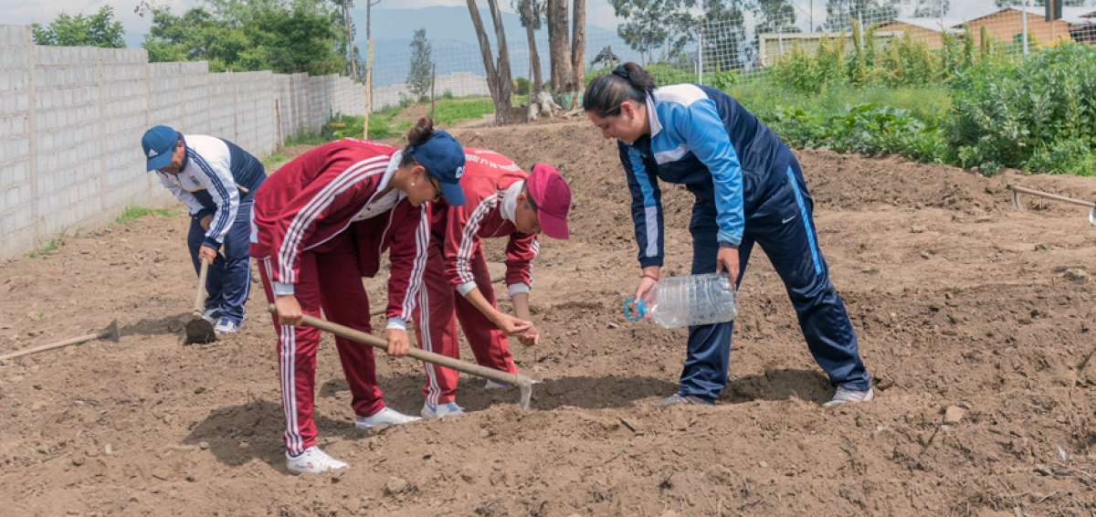 Estudiantes del noveno a&ntilde;o de Educaci&oacute;n B&aacute;sica elaboraron abonos e insecticidas con productos org&aacute;nicos, biodegradables, para el cuidado de las plantas.
