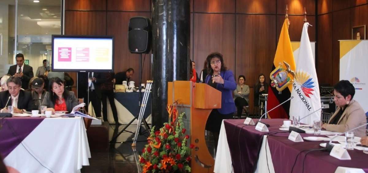 La comparecencia de los delegados de la Judicatura en la Asamblea Nacional.