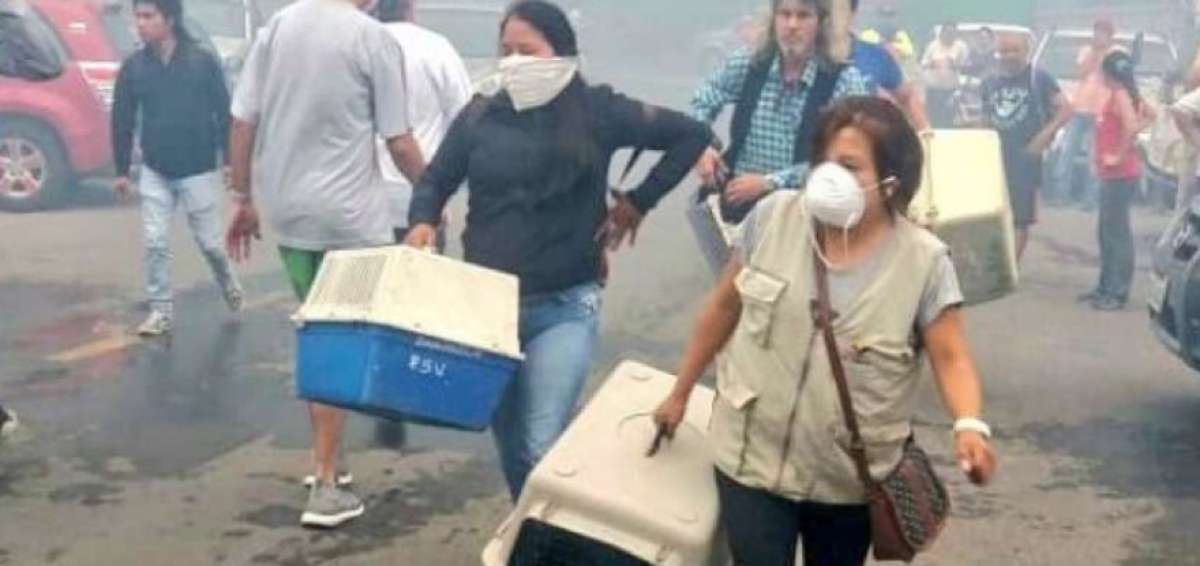 A salvo animales del ecozool&oacute;gico San Mart&iacute;n, tras incendio forestal