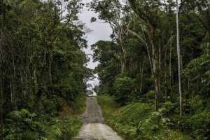 Ministerio de Ambiente reitera que no hay carretera sino sendero ecol&oacute;gico en parque Yasun&iacute;  