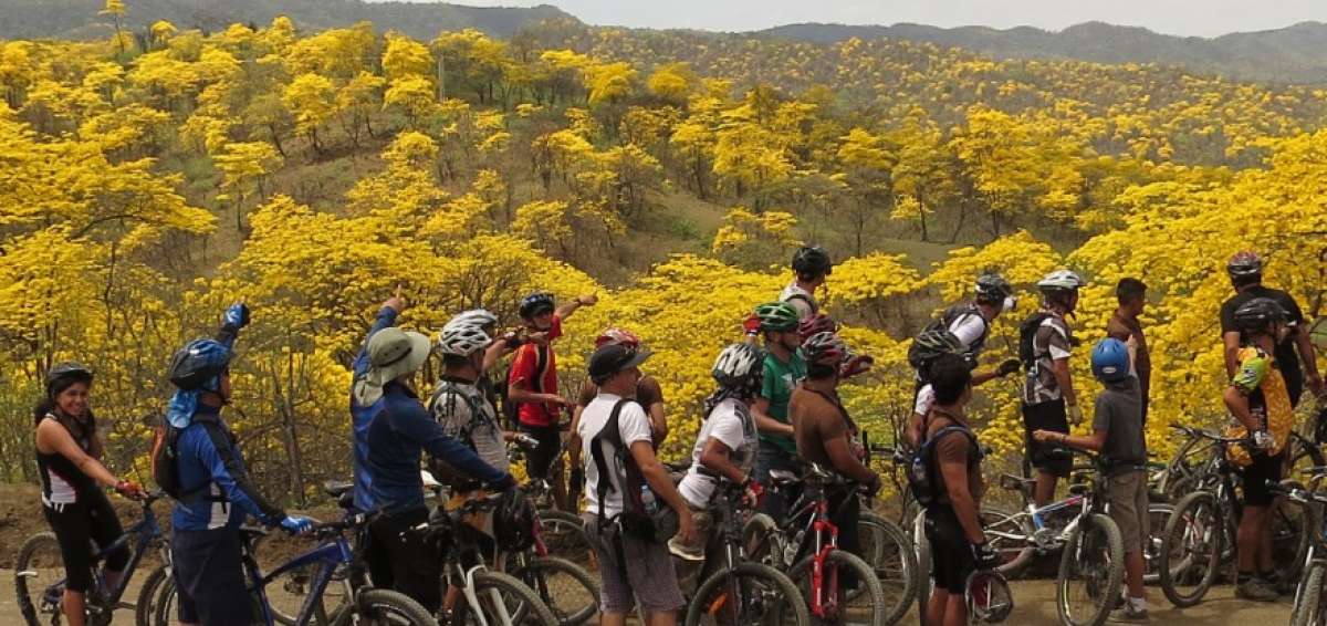 Fotograf&iacute;a cedida de visitantes en un recorrido por un bosque en el cant&oacute;n Zapotillo, en el sur de Ecuador. 