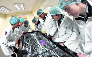 Una de las sugerencias que el Ceaaces hace a la facultad de Medicina es reforzar la investigaci&oacute;n. Las pr&aacute;cticas tienen lugar en los 6 laboratorios. Foto: Roberto Ch&aacute;vez / El Tel&eacute;grafo