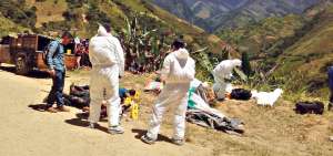 Los cad&aacute;veres de los supuestos exguerrilleros de las FARC fueron abandonados en una carretera del Municipio de La Argelia en el Cauca.