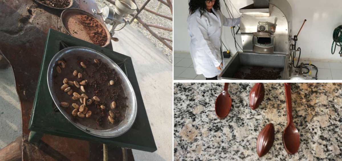 Las haciendas cacaoteras fusionan la actividad agr&iacute;cola y el turismo para promocionar a los visitantes el proceso de elaboraci&oacute;n del chocolate con sus costumbres.  