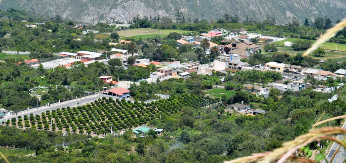 La parroquia de Perucho se caracteriza por sus grandes sembr&iacute;os de naranja, cereza china, chirimoya, aguacate y guaba. Las fiestas parroquiales se desarrollan desde el 15 hasta el 29 de septiembre.  