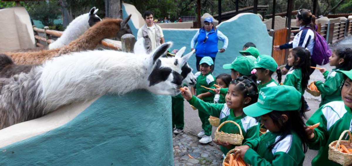  EL zool&oacute;gico de Guayllabamba es autosustentable: mantiene a sus animales con el ingreso de la venta de las entradas. El espacio le pertenece al Municipio. Existe un comodato de 30 a&ntilde;os, lleva 15 funcionando.