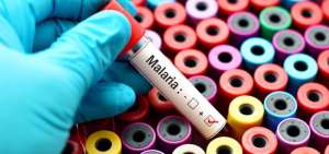 Am&eacute;rica es la regi&oacute;n donde m&aacute;s aumentaron las muertes por malaria en 2017