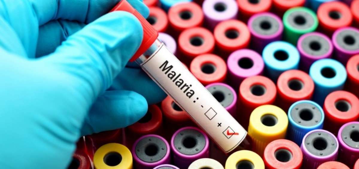 Am&eacute;rica es la regi&oacute;n donde m&aacute;s aumentaron las muertes por malaria en 2017