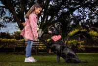 ¿Cómo elegir el snack apropiado para nuestras mascotas?