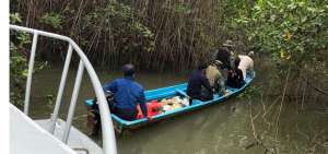 El personal naval ingres&oacute; hasta un punto rec&oacute;ndito en medio del manglar para decomisar la droga.