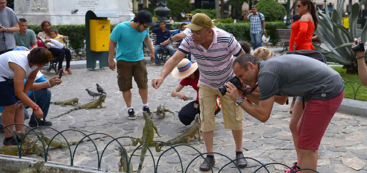 Los visitantes del exterior son los m&aacute;ximos admiradores de esta especie.