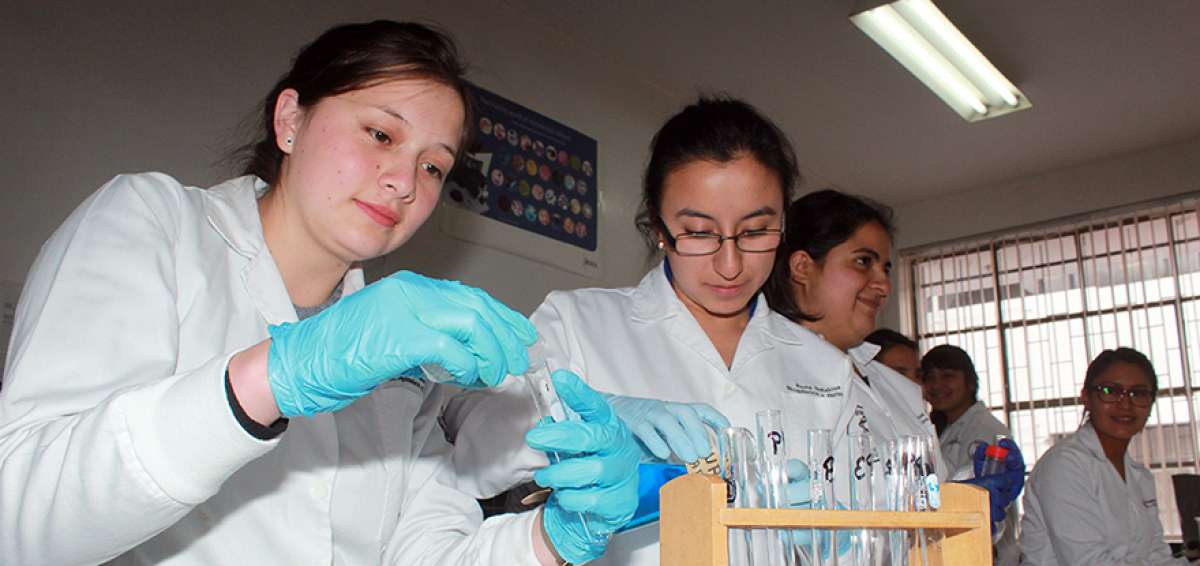 Diana Quezada y Paola Pe&ntilde;aloza, estudiantes de la Facultad de Bioqu&iacute;mica y Farmacia colocan los reactivos.