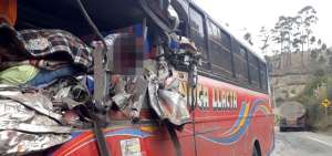 La v&iacute;ctima fatal viajaba en el bus como pasajero. Su deceso fue instant&aacute;neo.