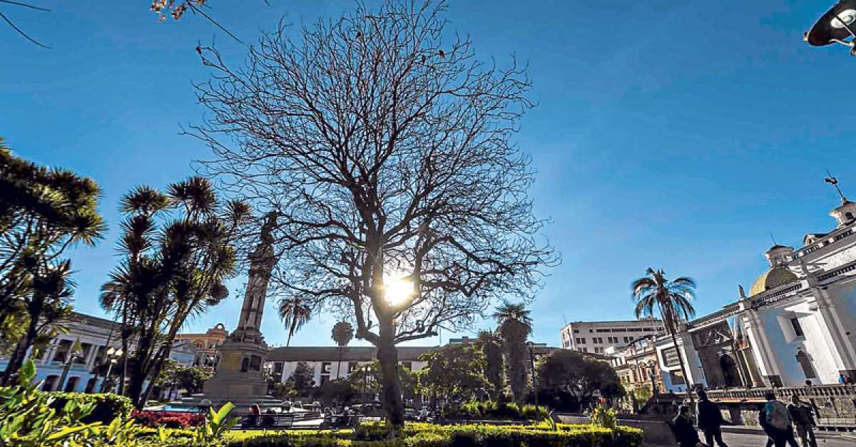 Correa:  Quito siempre ha estado entre las ciudades maravillas