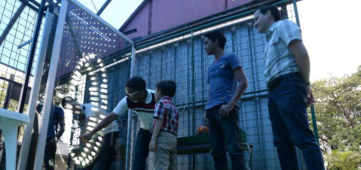 Gabriel, de cinco a&ntilde;os,  visit&oacute; el invento &lsquo;t&uacute;nel de luz&rsquo;, en  el que deb&iacute;a descifrar cu&aacute;ntas hileras de focos observaba.