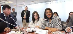 La fiscal Diana Salazar acudi&oacute; ayer a la comisi&oacute;n ocasional de personas desaparecidas para analizar con los legisladores esta problem&aacute;tica.