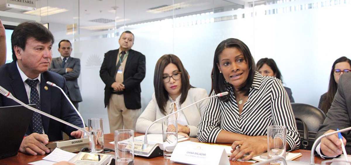 La fiscal Diana Salazar acudi&oacute; ayer a la comisi&oacute;n ocasional de personas desaparecidas para analizar con los legisladores esta problem&aacute;tica.