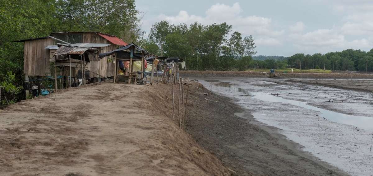 Camaronera en una zona de la bah&iacute;a de Muisne, desaguada para reparar compuertas. Cerca de 10.000 ha de mangle fueron deforestadas para hacer las piscinas.