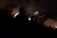 Bomberos controlaron incendio forestal en Papallacta
