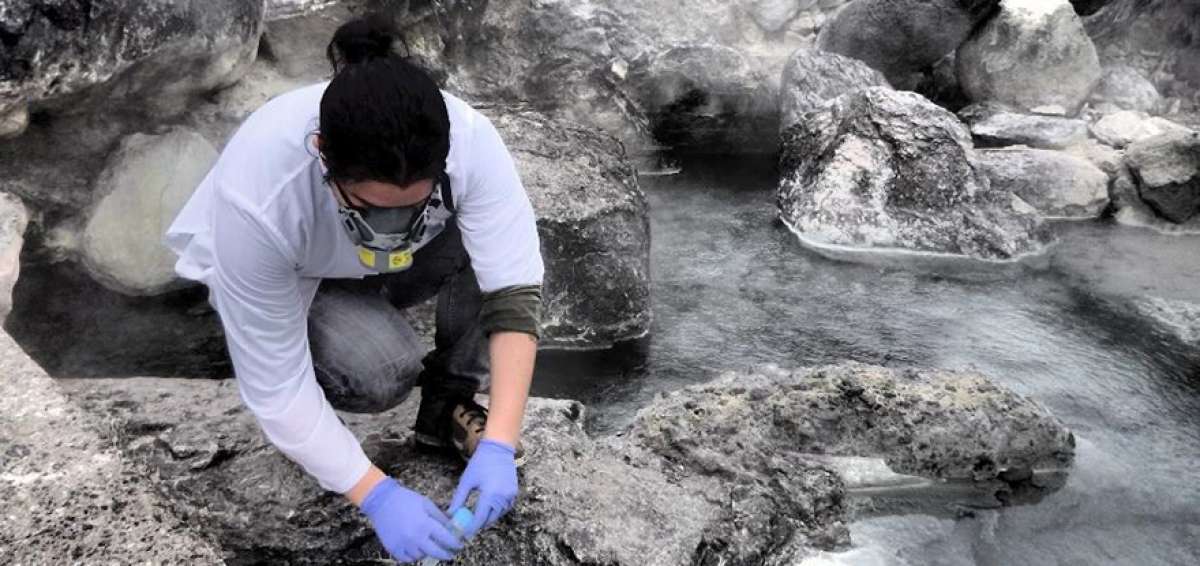 Las microalgas utilizadas en este proyecto se colectaron en el ecosistema de las aguas termales de Ecuador.