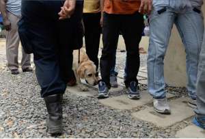 Los canes con sus respectivos gu&iacute;as fueron capacitados durante seis meses. Foto: Lylibeth Coloma