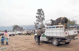El transporte en camionetas, seg&uacute;n los usuarios, les permite llevar productos y animales.