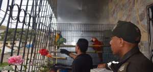 Las especies de aves fueron encontradas en una vivienda en la cooperativa Sergio Toral. El infractor deber&aacute; adem&aacute;s pagar $ 1.544  por el delito.