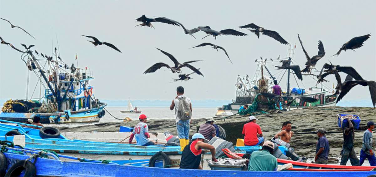 La Organizaci&oacute;n de Mujeres de los Pescadores Presos en el Exterior estima que m&aacute;s de 1.200 ecuatorianos est&aacute;n detenidos en Centroam&eacute;rica y EE.UU.