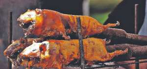 La gastronom&iacute;a es uno de los mayores atractivos que ofrece la parroquia Tarqui, ubicada a 13 kil&oacute;metros de Cuenca.