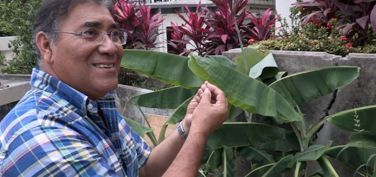 El ecuatoriano &Aacute;ngel Llerena Hidalgo, doctor en Ciencias Agr&iacute;colas, fue propuesto al Premio Nobel de Medicina y Fisiolog&iacute;a.