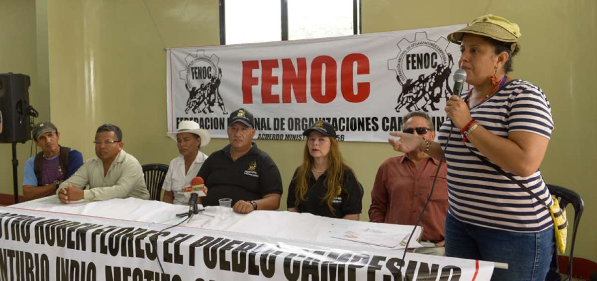 Idalina Rivas habl&oacute; en representaci&oacute;n de los productores de arroz agrupados en la asociaci&oacute;n Che Guevara asentada en Santa Luc&iacute;a.