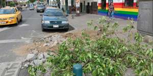 Los restos de las calzadas y &aacute;rboles destruidos quedaron tirados en el lugar.