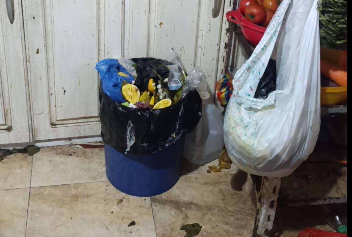 Planta procesadora de snacks fue clausurada en Riobamba tras hallazgo de moscas