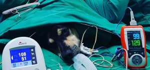 Brauny pas&oacute; a usar una silla de ruedas y olvid&oacute; el juego