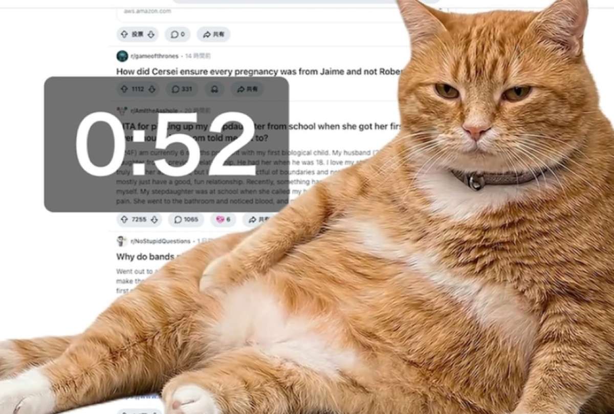 La extensi&oacute;n muestra un gato en pantalla cuando el usuario excede su tiempo en redes sociales.