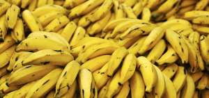 El Acuerdo Multipartes con la Uni&oacute;n Europea beneficiar&aacute; a 4.789 bananeros