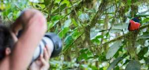 El 31% territorio de Quito es &aacute;rea natural protegida