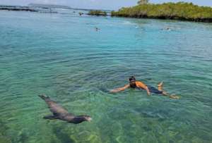Gal&aacute;pagos registr&oacute; una ocupaci&oacute;n hotelera del 63,4 %.