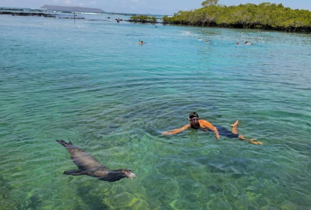 Gal&aacute;pagos registr&oacute; una ocupaci&oacute;n hotelera del 63,4 %.