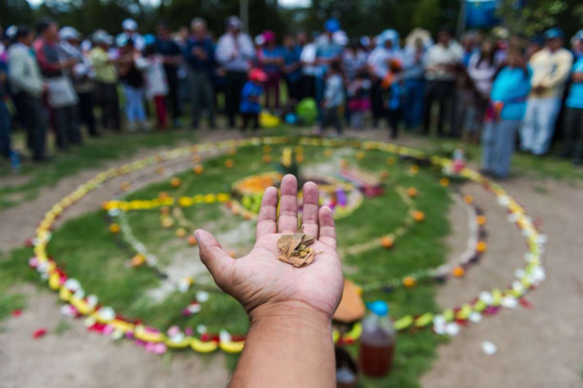 Con granos, flores y frutas se formaron los c&iacute;rculos que representan la unidad y solidaridad que hacen de cada comunidad una familia s&oacute;lida e indisoluble. Fotos: John Guevara/El Tel&eacute;grafo