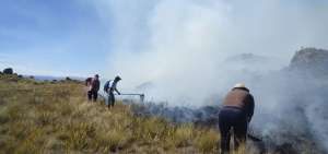 Bomberos y habitantes de la zona de Pucar&aacute; trabajaron intensamente para sofocar el incendio que quem&oacute; m&aacute;s de cien hect&aacute;reas de bosque.