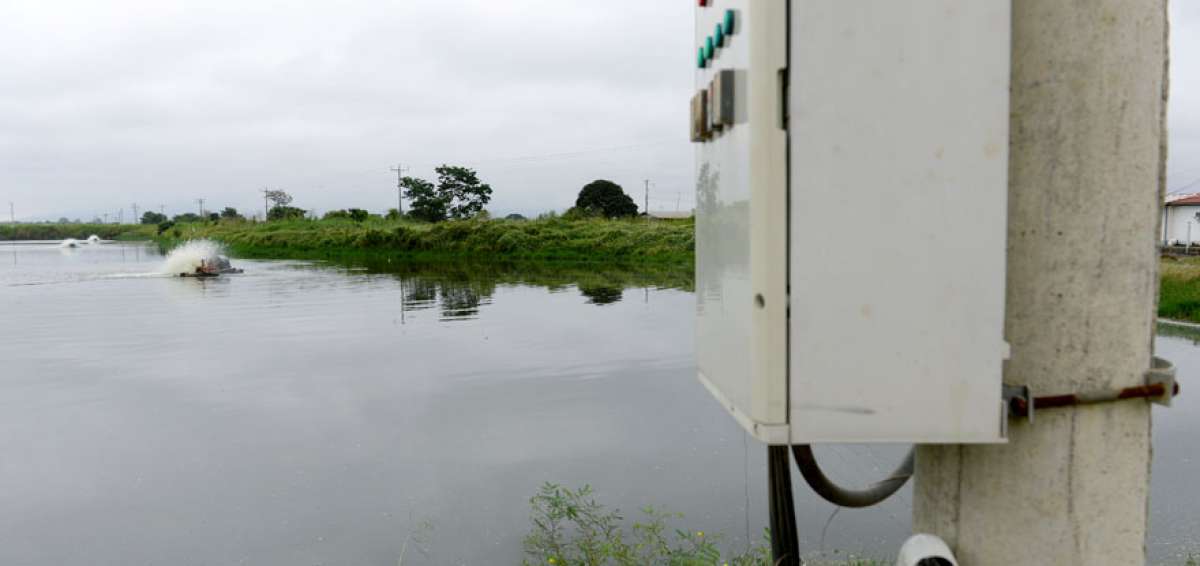 La empresa camaronera Aquamar, ubicada en el cant&oacute;n Naranjal (Guayas), es la pionera en el pa&iacute;s en utilizar energ&iacute;a el&eacute;ctrica en la producci&oacute;n de camar&oacute;n.