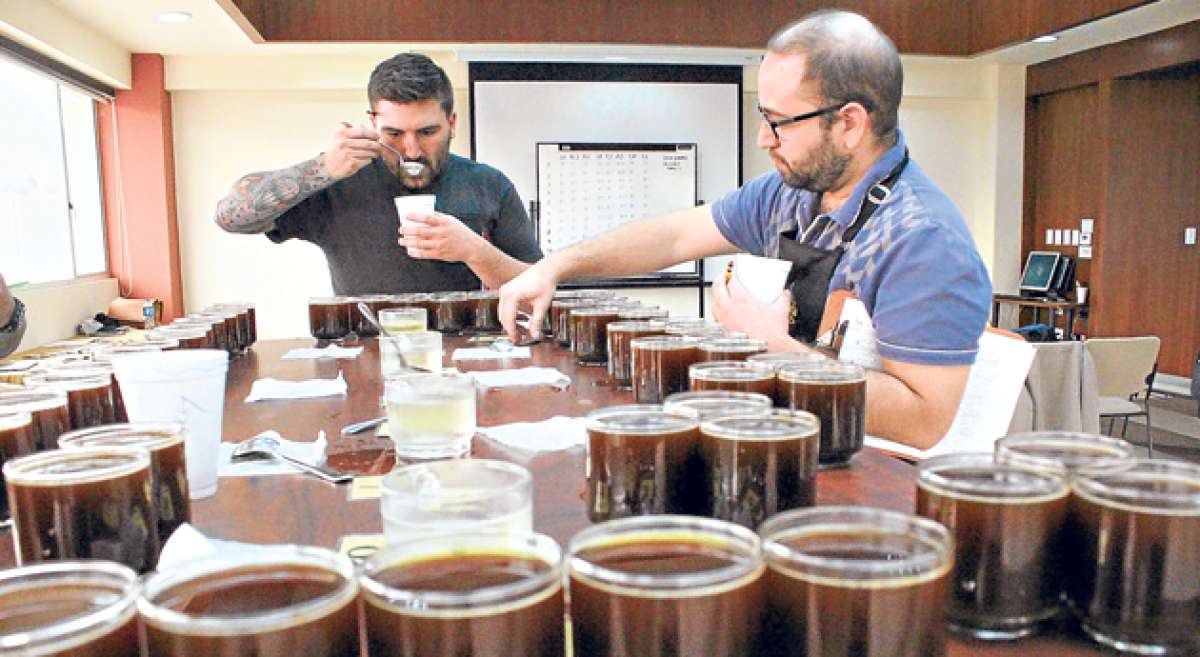 Los jueces internacionales de la Taza Dorada 2015 cataron los diferentes tipo de caf&eacute;, sin conocer el nombre de su creador, ni su procedencia. Foto: cortes&iacute;a