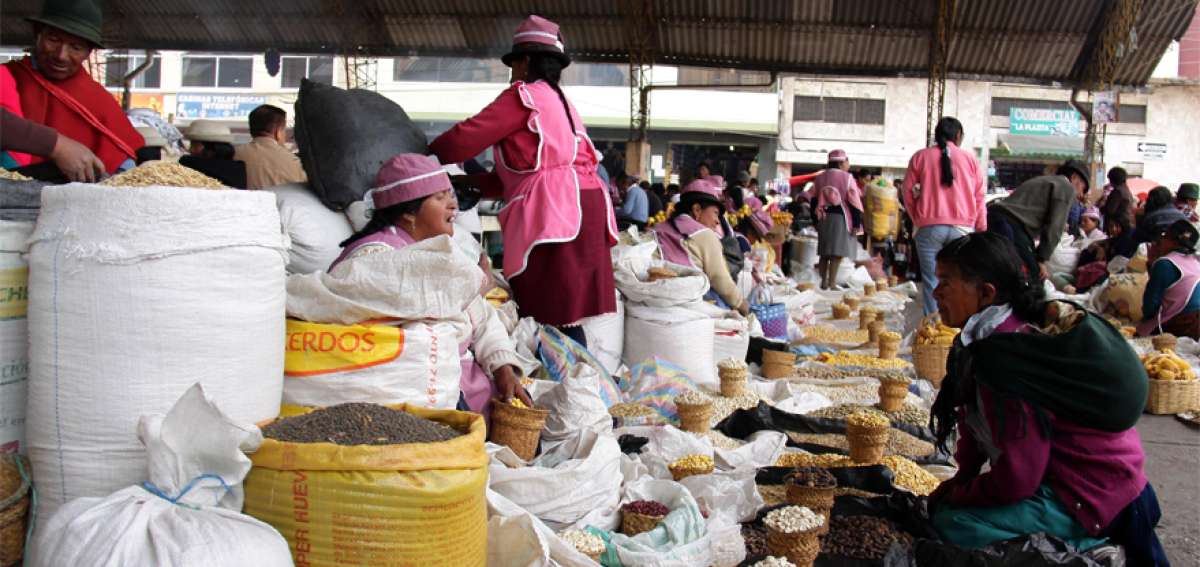 Feria de granos m&aacute;s grande de la regi&oacute;n se desarrolla en Ambato
