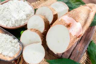  Anímate y prueba esta tradicional bebida de la Amazonia: &quot;cerveza de yuca&quot;.