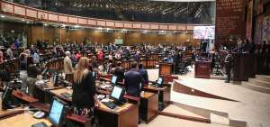 Pleno conocer&aacute; investigaci&oacute;n sobre hechos del paro nacional