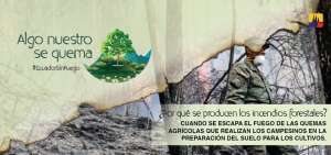 En Azuay dise&ntilde;an un plan para enfrentar incendios forestales
