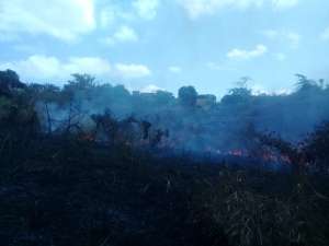 El incendio forestal ardi&oacute; por m&aacute;s de 5 horas en el sector de Monte Sina&iacute;.