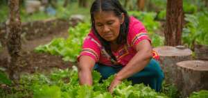 Ecuador ya es parte de la campa&ntilde;a regional Mujeres rurales, Mujeres con derechos